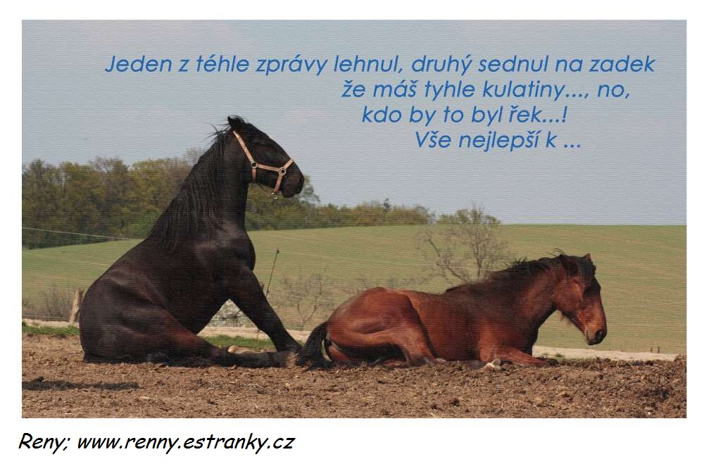 Kdo by to byl řek2...-1000